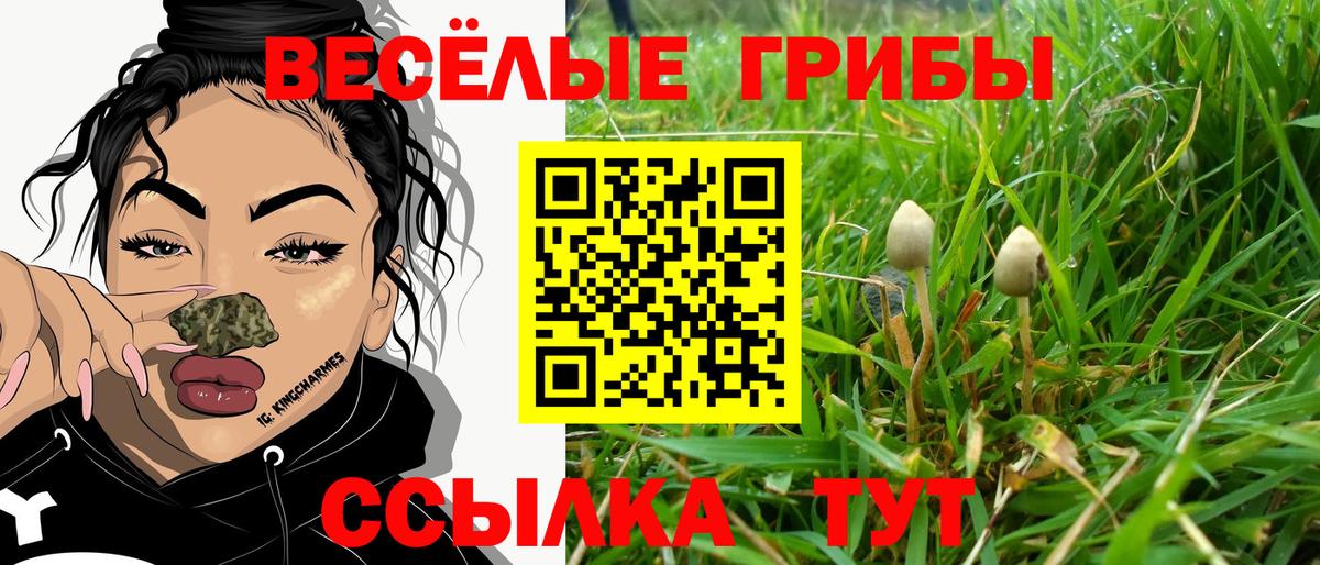 Волжск  Псилоцибиновые грибы мухоморы  Вход с VPN 