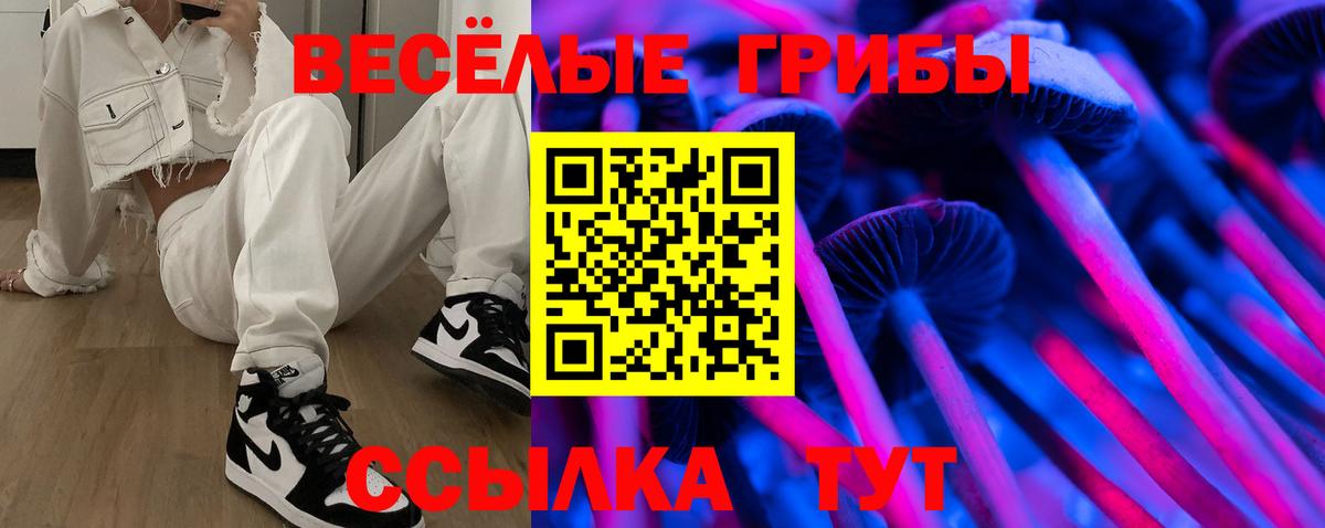 Псилоцибиновые грибы мицелий Волжск